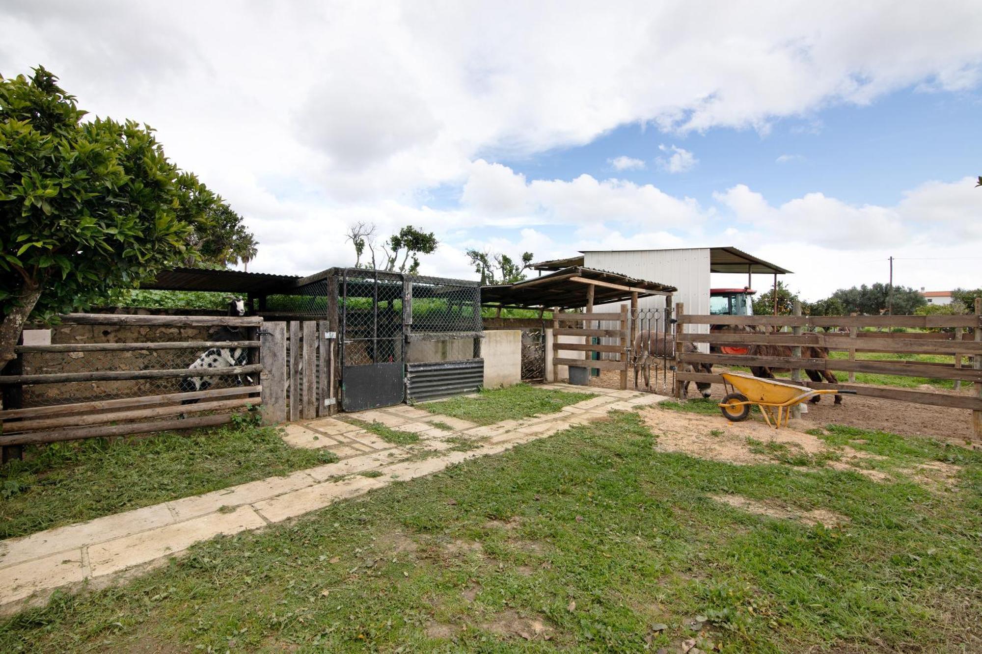 Casa Lavadeira - Vinhas De Nexe Villa FAO Exterior foto